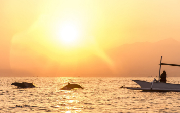 Transfer From Uluwatu To Lovina Beach