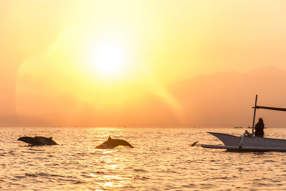 Transfer From Uluwatu To Lovina Beach