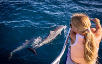 Taxi From Uluwatu To Lovina