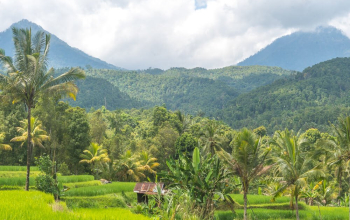 Taxi From Canggu To Munduk