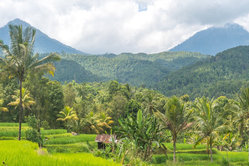 Taxi From Canggu To Munduk