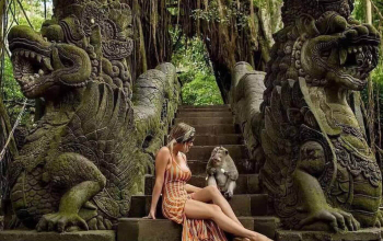 Ubud & Tegalalang Full Day Tour
