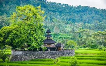 Taxi From Lovina To Sidemen