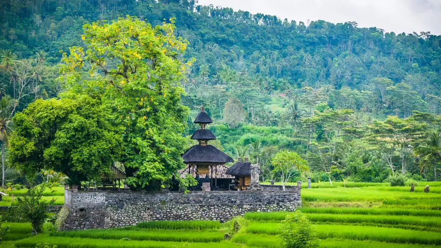 Taxi From Lovina To Sidemen