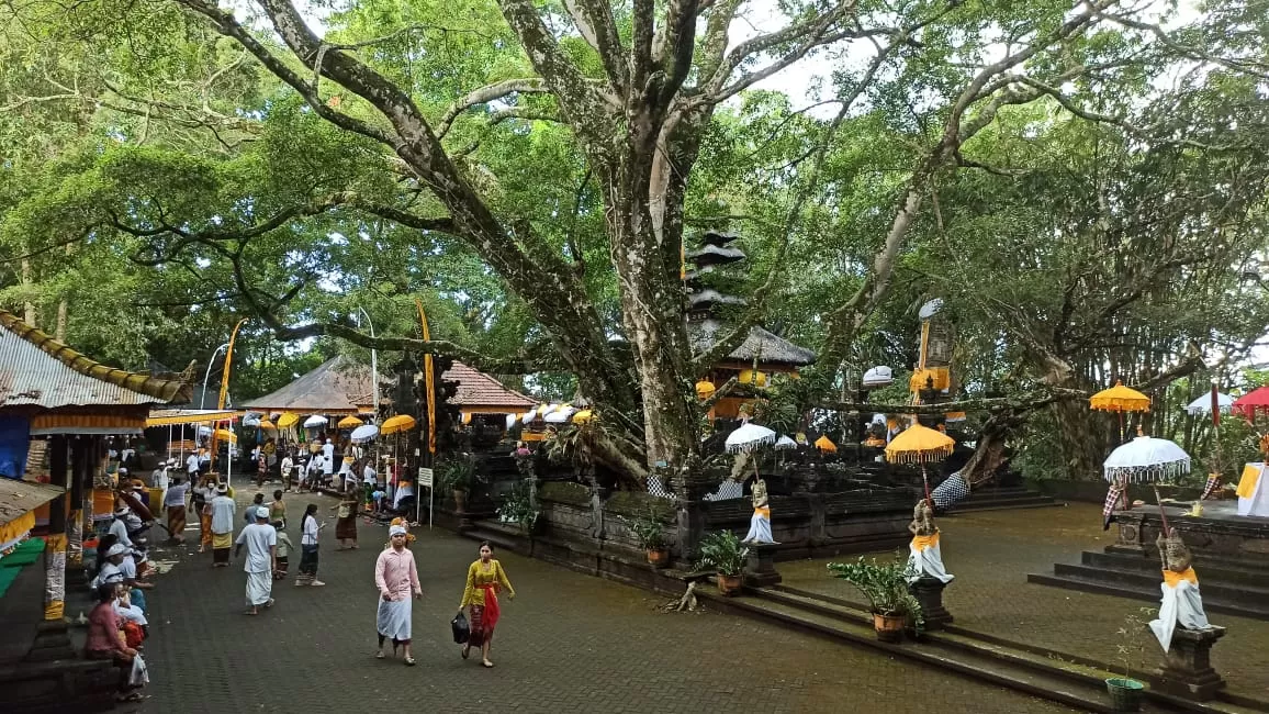 Bali Airport Transfer to Tajun