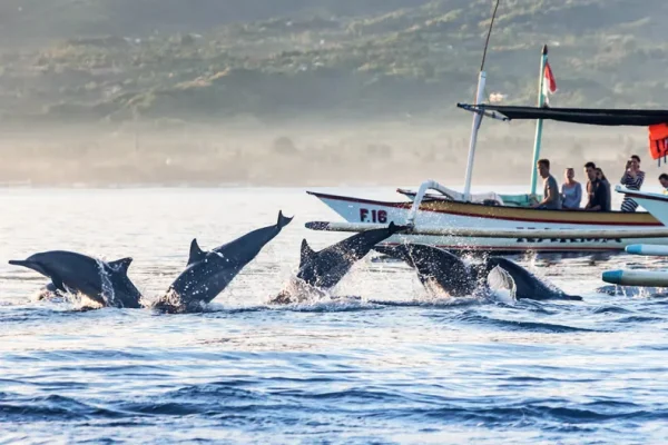 Transfer from Bali Airport to Lovina