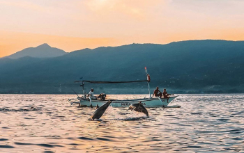 Taxi From Payangan to Lovina