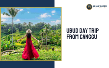 Ubdu Day Trip From Canggu