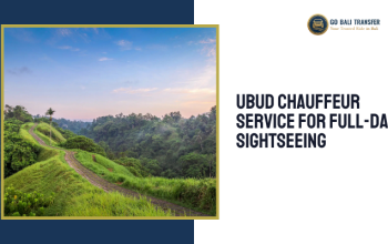 Ubud Chauffeur Service for Full-Day Sightseeing